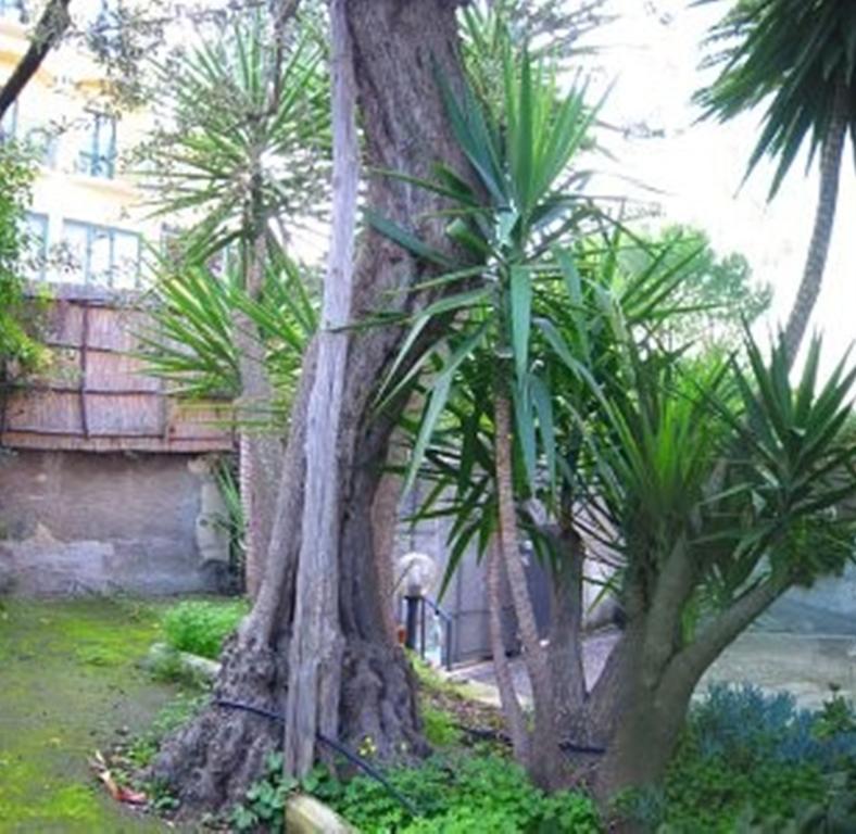 Villa Orchidea Sorrento Kamer foto